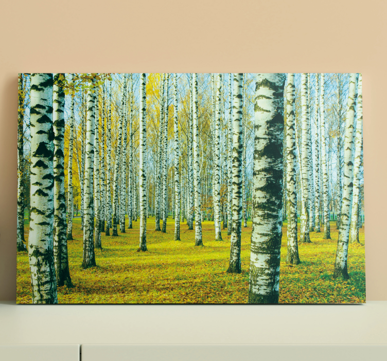 Birk forest canvas pictures for living room - TenStickers