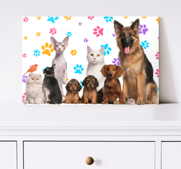 Dogs and cats animal canvas prints - TenStickers