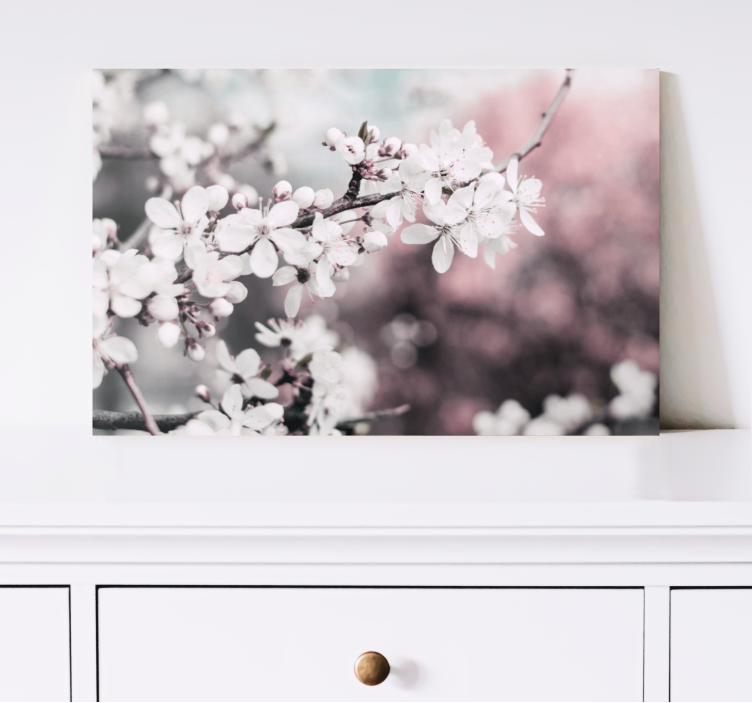 Feminine white cherry blossoms flower canvas - TenStickers