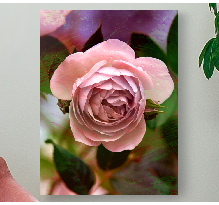 Flowers canvas pink rose blossom art print - TenStickers
