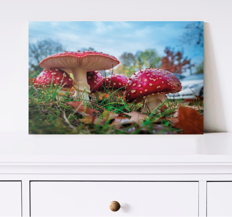 Flowers canvas red mushroom cluster art print - TenStickers