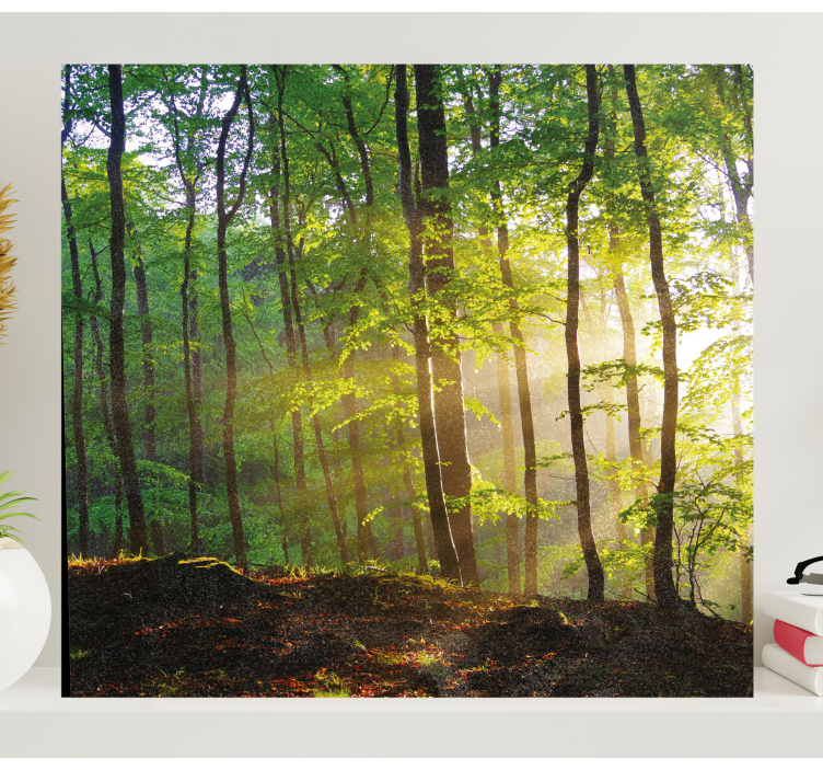 Forest walk in the sun landscape canvas - TenStickers