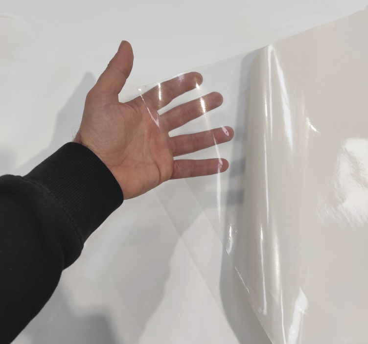 Transparent Adjective:  Allowing light to pass through so that ob - TenStickers