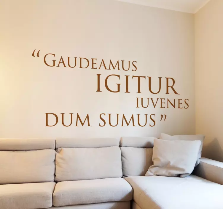 Decorative Latin youth vinyl wall sticker - TenStickers