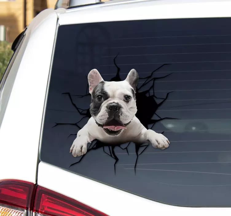 Dog glass cat sticker - TenStickers