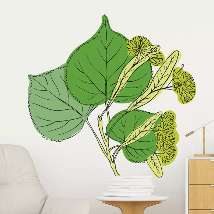 Linden Blossoms plant wall sticker - TenStickers