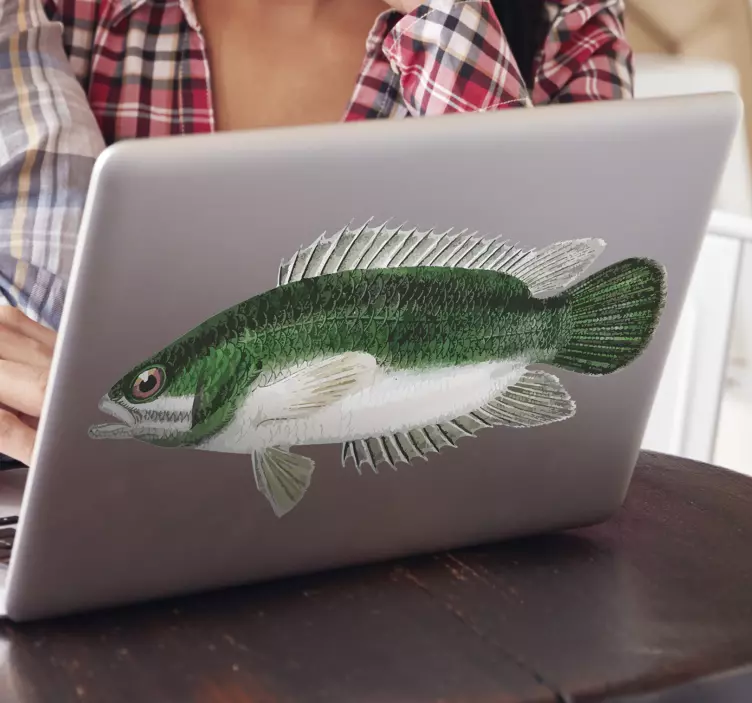 Perch laptop vinyl sticker - TenStickers