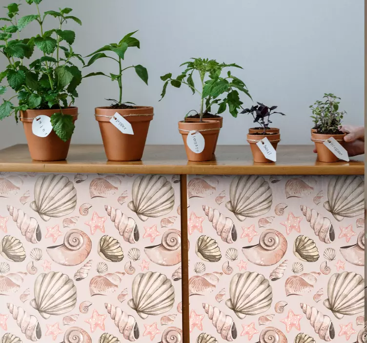 seashells furniture sticker - TenStickers