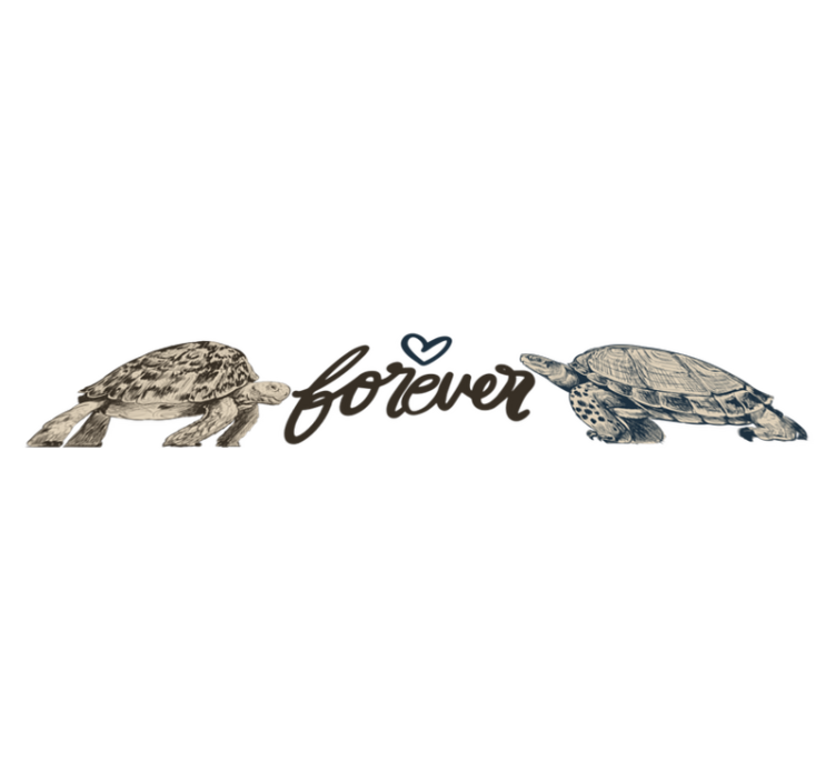 Turtles forever love quote animal vinyl rug - TenStickers