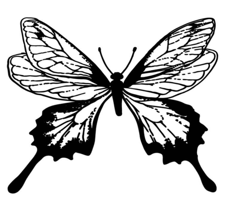 Animal vinyl rug graceful butterfly outline - TenStickers
