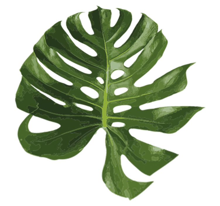 Flower vinyl rug with delicious monstera leaf design - TenStickers