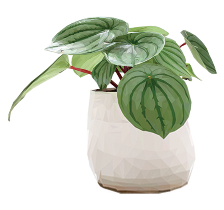 Flower vinyl rug simple houseplant design - TenStickers
