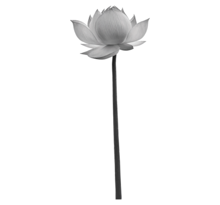 Bedroom vinyl rug lotus single flower - TenStickers