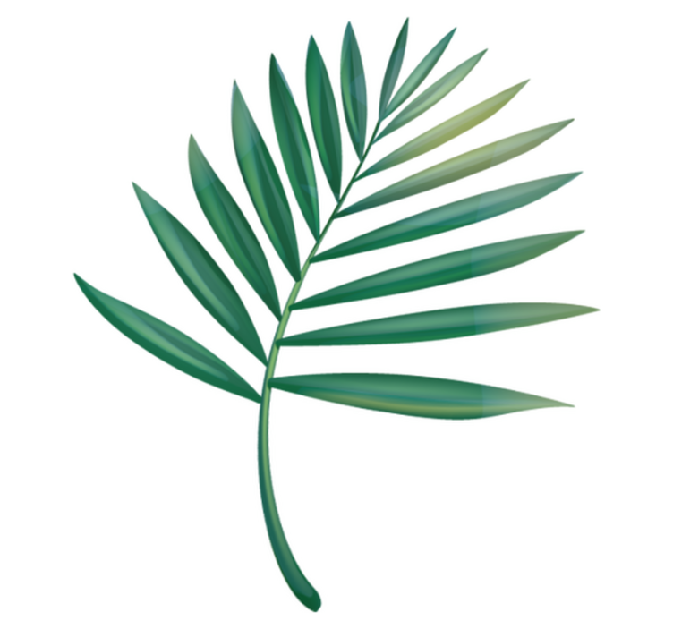 Leaf palm bathroom vinyl rug - TenStickers