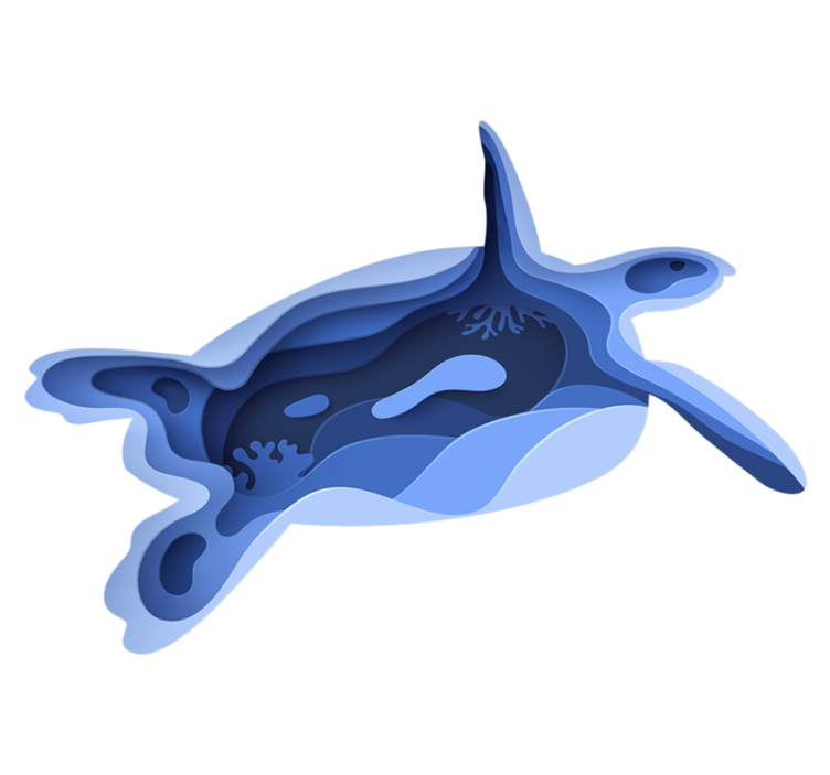 Abstract Turle animal vinyl rug - TenStickers