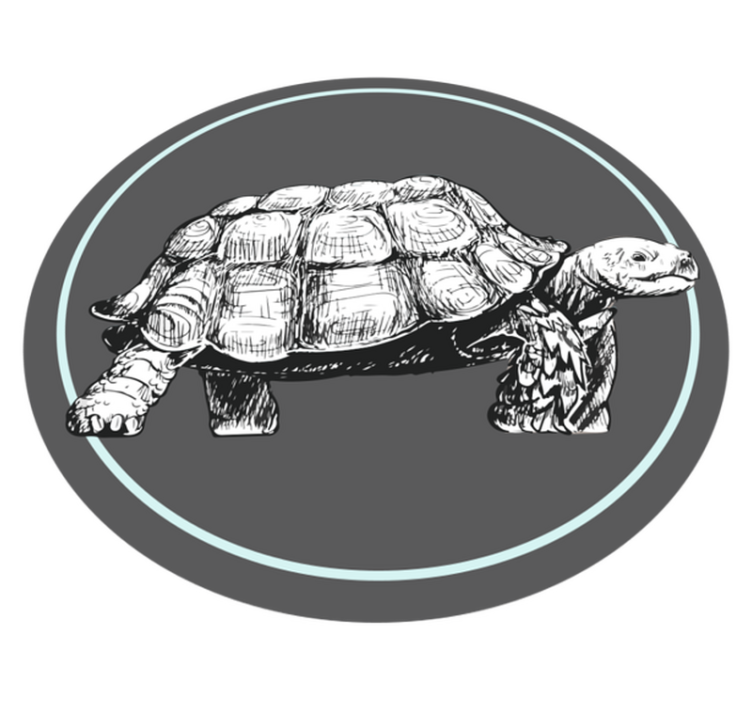 green and brown turtle illustration animal rug - TenStickers