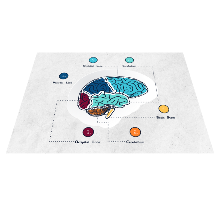 vintage Medical brain vintage rug - TenStickers