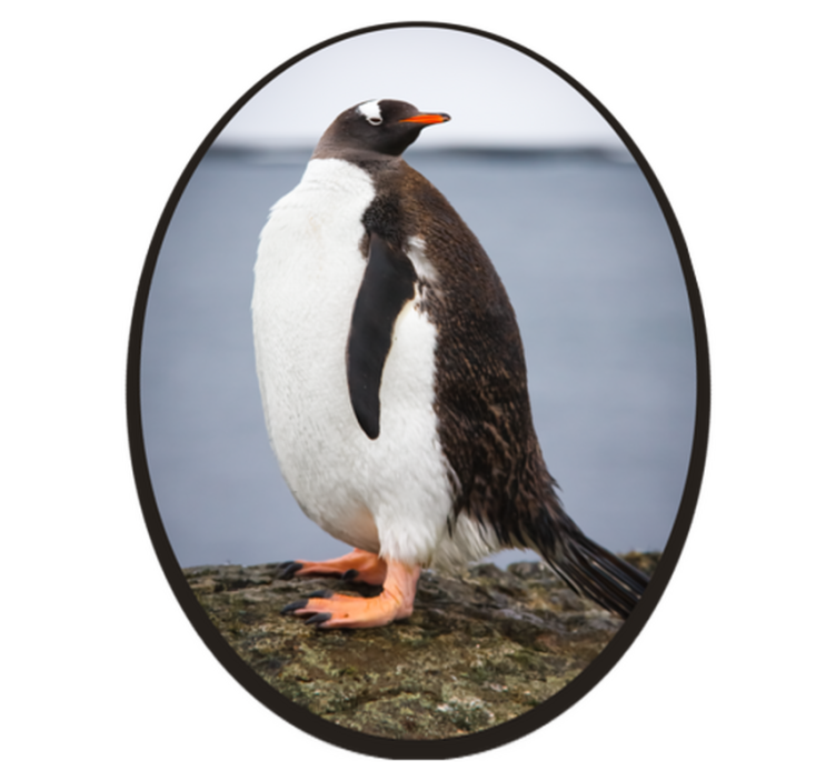 Majestic penguin animal rug - TenStickers