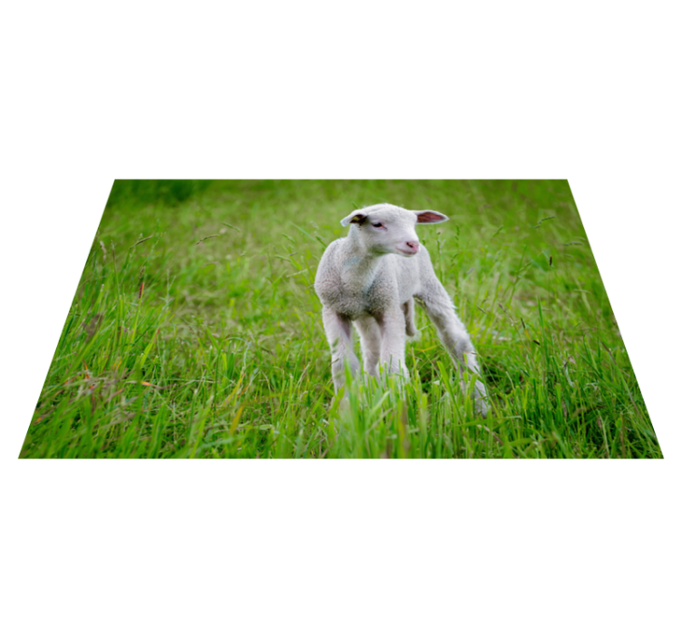 Baby lamb standing animal vinyl rug - TenStickers