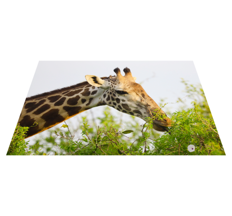 Animal tall giraffe vinyl rug - TenStickers