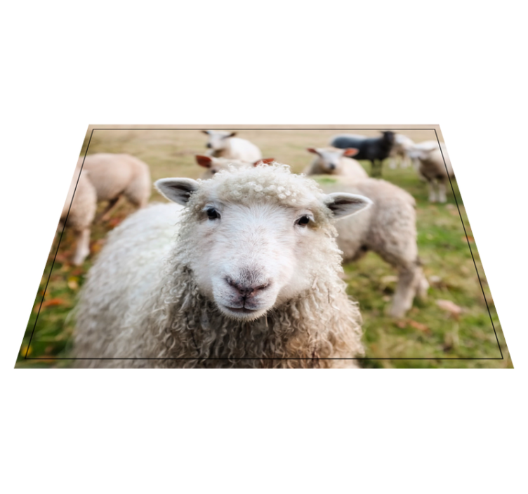 Curly shep face animal vinyl rug - TenStickers