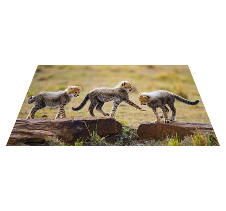 Cheetah cubs adventure animal vinyl rug - TenStickers