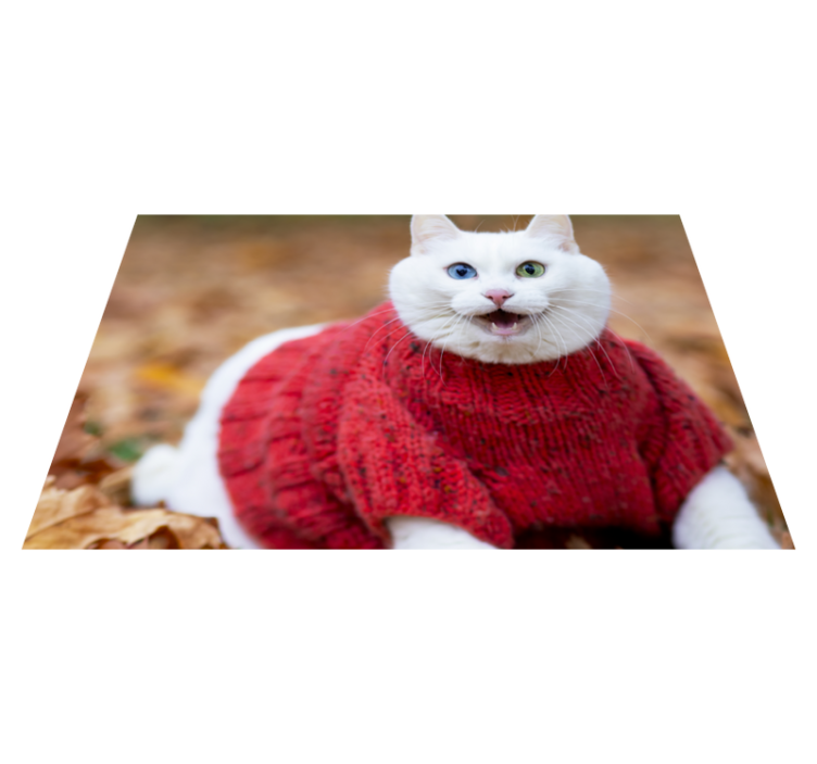 Animal cute smiling cat animal rug - TenStickers