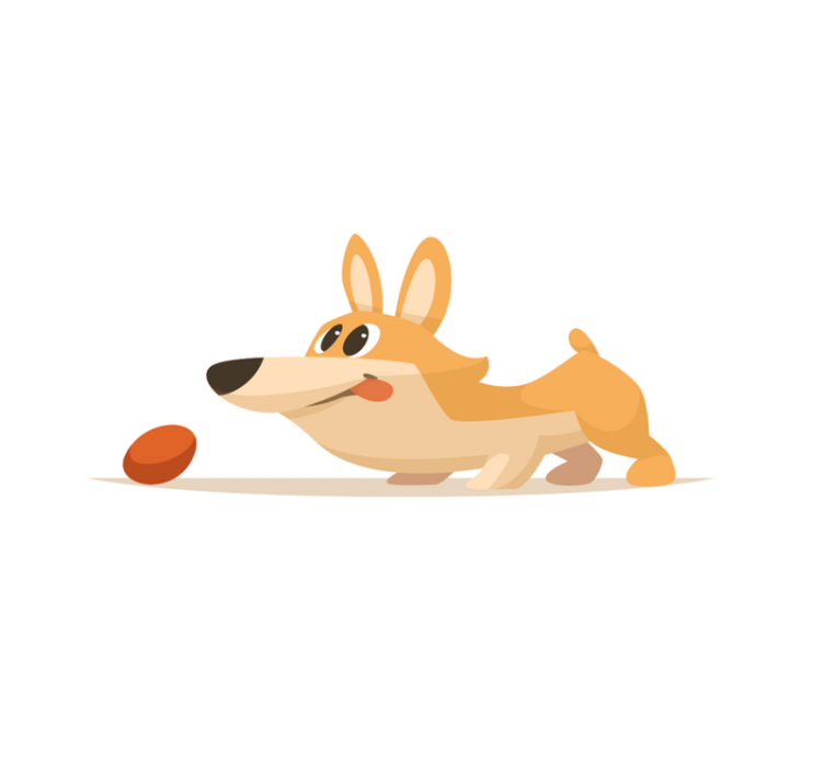 Playful Corgi Chase vinyl rug - TenStickers