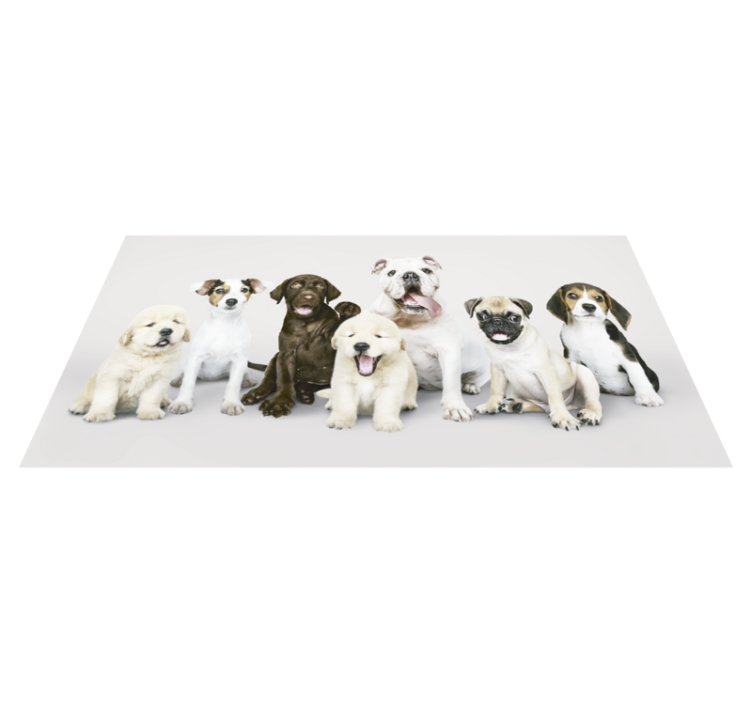 photography dog puppies animal mat - TenStickers
