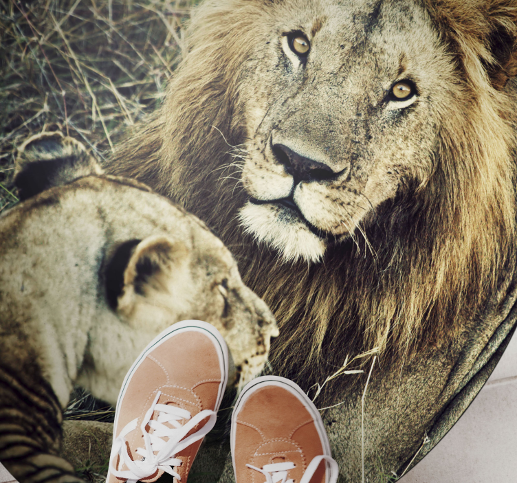 Majestic lion pair animal vinyl rug - TenStickers