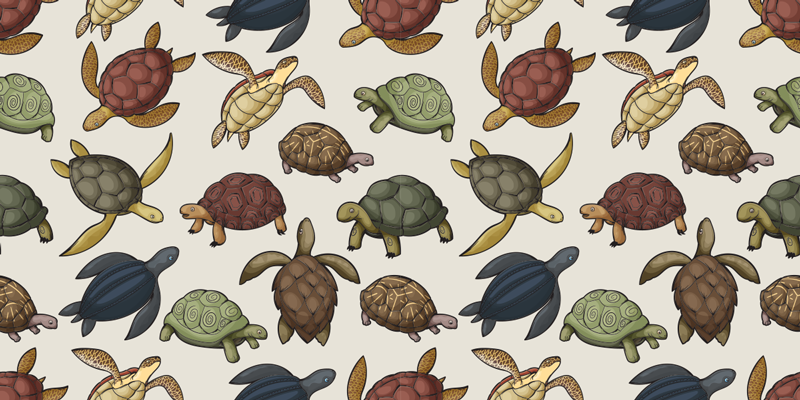 Animal vinyl rug featuring a variety of turtles - TenStickers