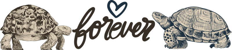 Turtles forever love quote animal vinyl rug - TenStickers