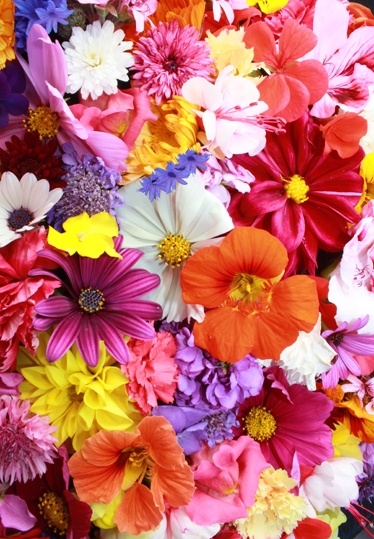 Flower vinyl rug with abundant colorful blooms - TenStickers