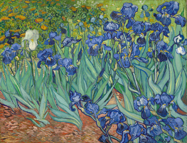 Flower vinyl rug inspired by van gogh's blooms - TenStickers