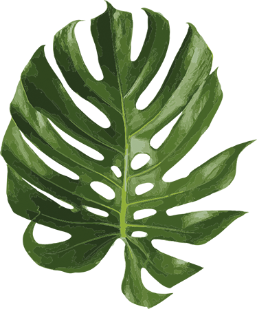 Flower vinyl rug with delicious monstera leaf design - TenStickers