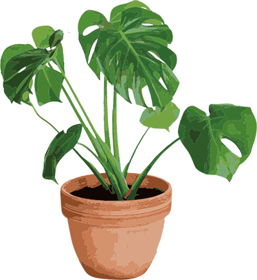 Flower vinyl rug simple monstera planter - TenStickers