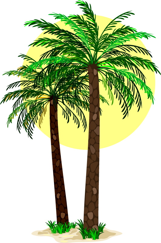 Flower vinyl rug tropical palm trees design - TenStickers