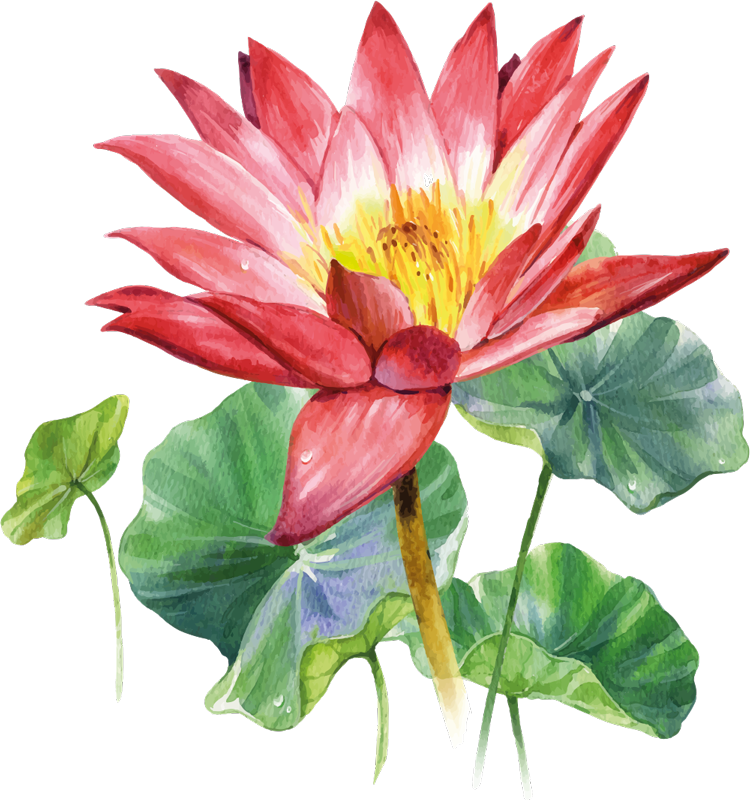 Bedroom vinyl rug lotus watercolor illusion - TenStickers