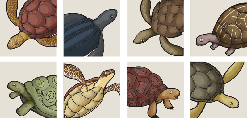 Bathroom vinyl rug with turtle tile design - TenStickers