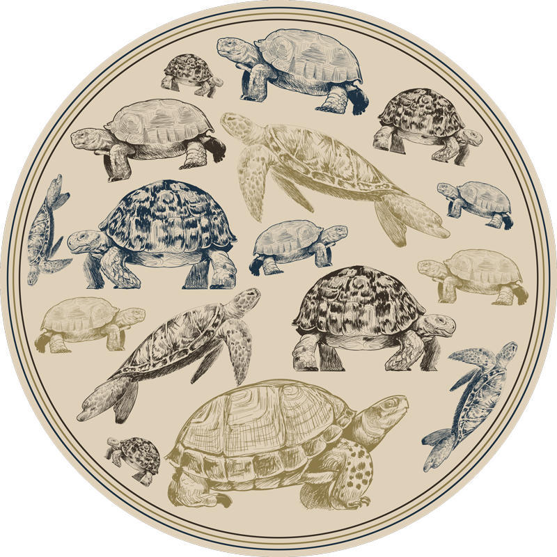 Turtles beige background animal vinyl rug - TenStickers
