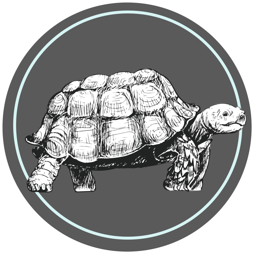 green and brown turtle illustration animal rug - TenStickers