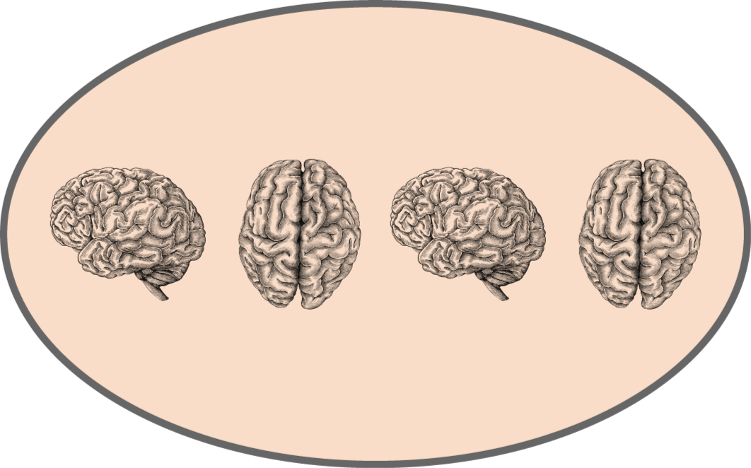 row of vintage brains vintage rug - TenStickers