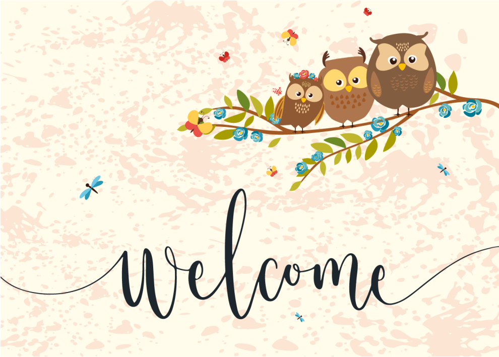 Welcome Owl Entrance Vinyl Rug - TenStickers