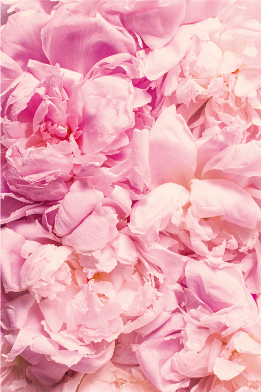 Soft pink details living room vinyl rug - TenStickers