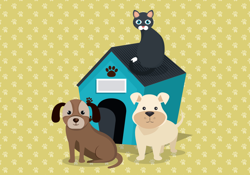 Dogs at home animal vinyl rug - TenStickers