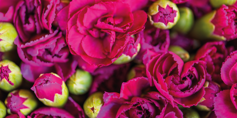 Vibrant Floral Blooms flower vinyl rug - TenStickers