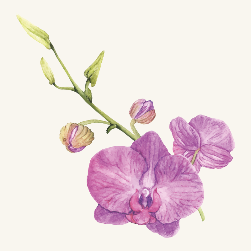 Purple Orchid Blooms flower vinyl rug - TenStickers