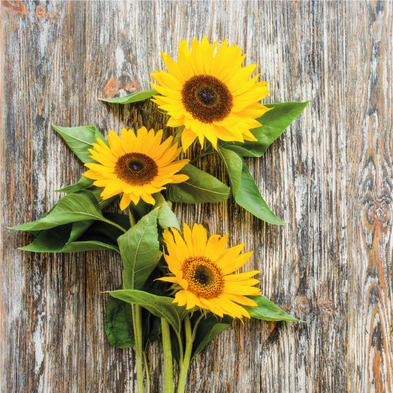 Sunflower Arrangement wood vinyl rug - TenStickers
