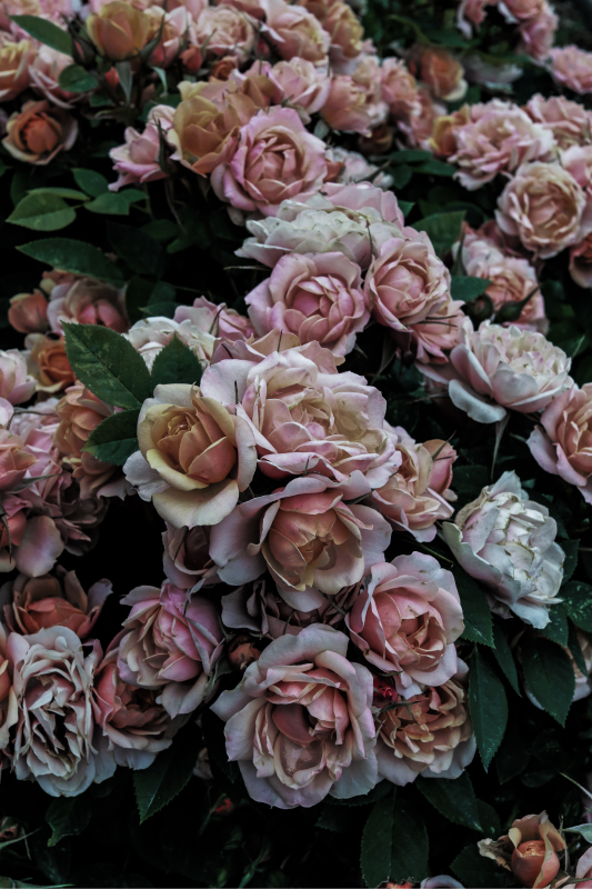 Elegant Floral Display flower vinyl rug - TenStickers