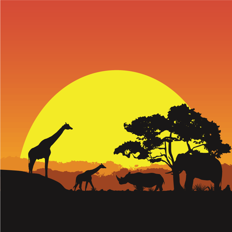 African savannah  modern rug - TenStickers